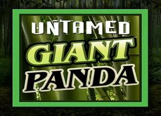 Microgaming SMG_untamedGiantPanda.webp